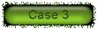 case3