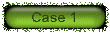 case5