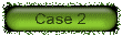 case2