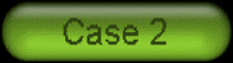 case2