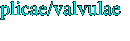 plicae/valvulae