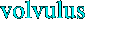 volvulus