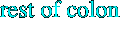 rest of colon