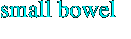small bowel