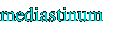 mediastinum 