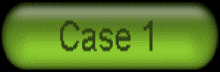 case1