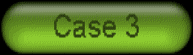 case3