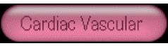 cardiacvasc