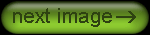 nextimage