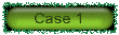 case1