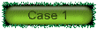 case1